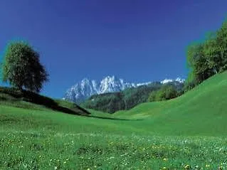 Hotel Das Walchsee