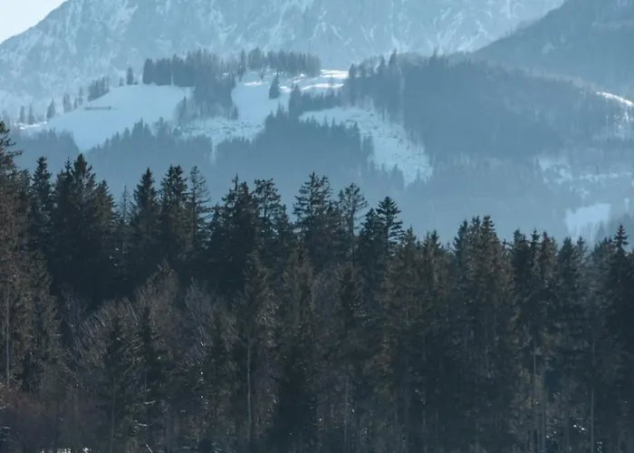 Das Walchsee Resort فندق 4*